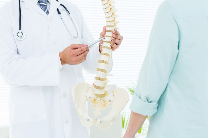 Spinal Cord Spinal Cord